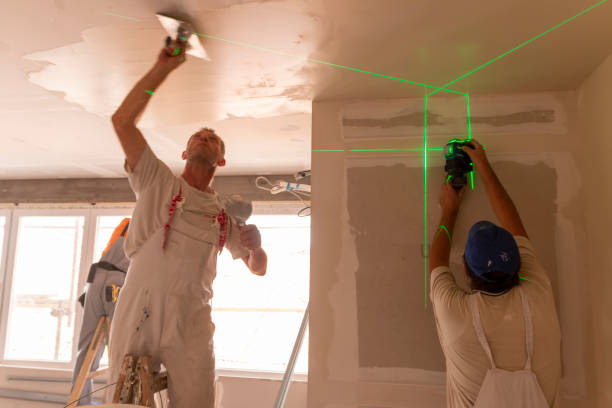 Best Basement Mold Removal  in Cave Junction, OR