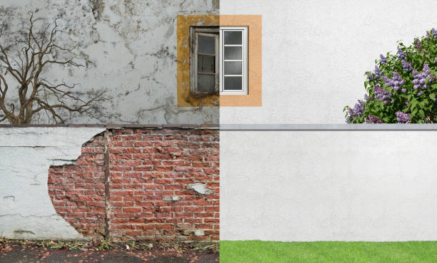 Cave Junction, OR Mold Removal Company